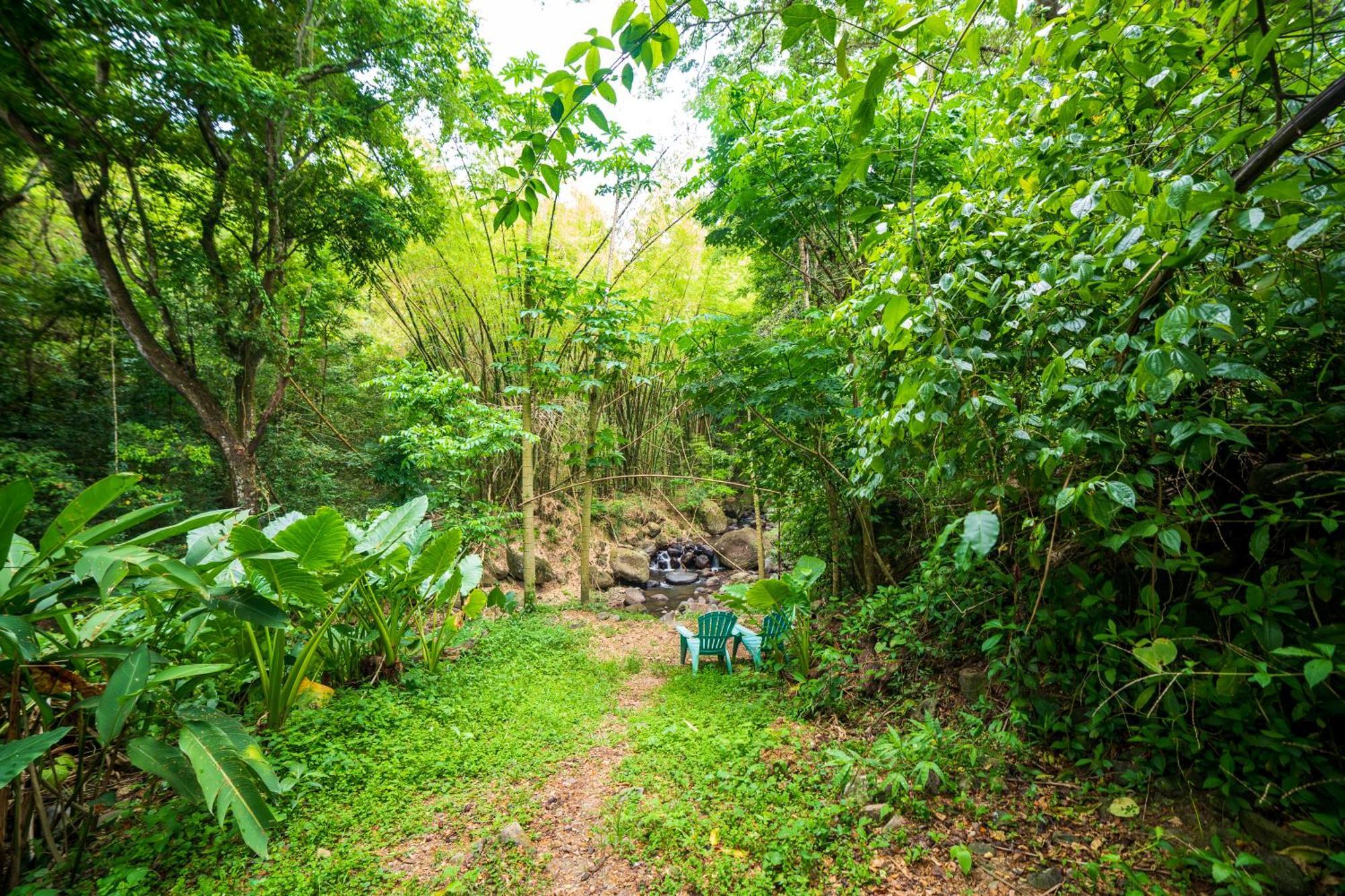 Villa Martinique Treehouse Canton Suisse Exterior foto