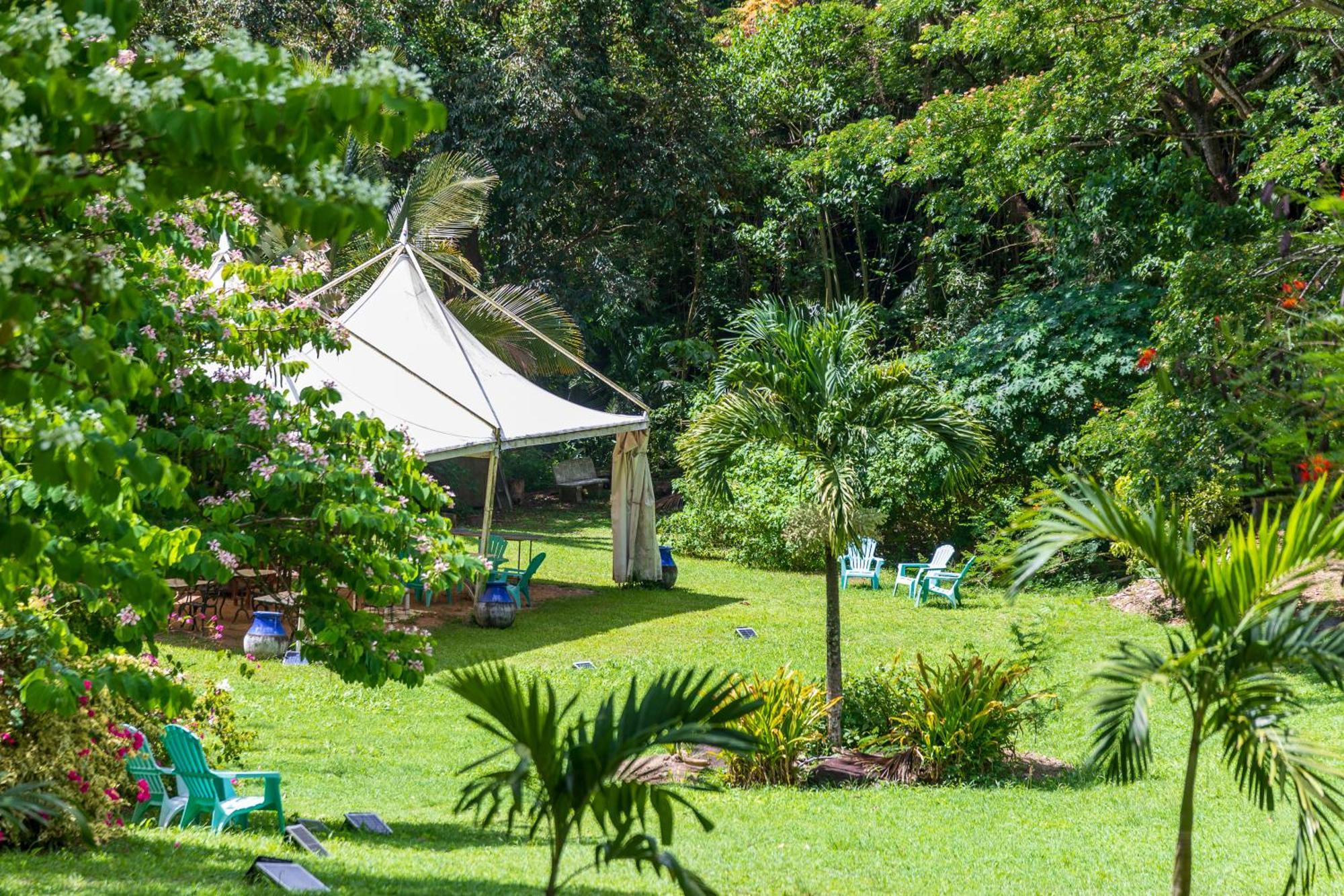 Villa Martinique Treehouse Canton Suisse Exterior foto