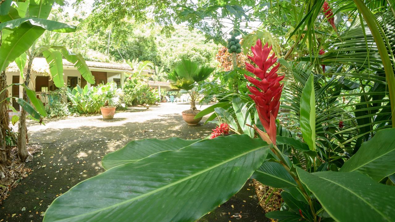 Villa Martinique Treehouse Canton Suisse Exterior foto