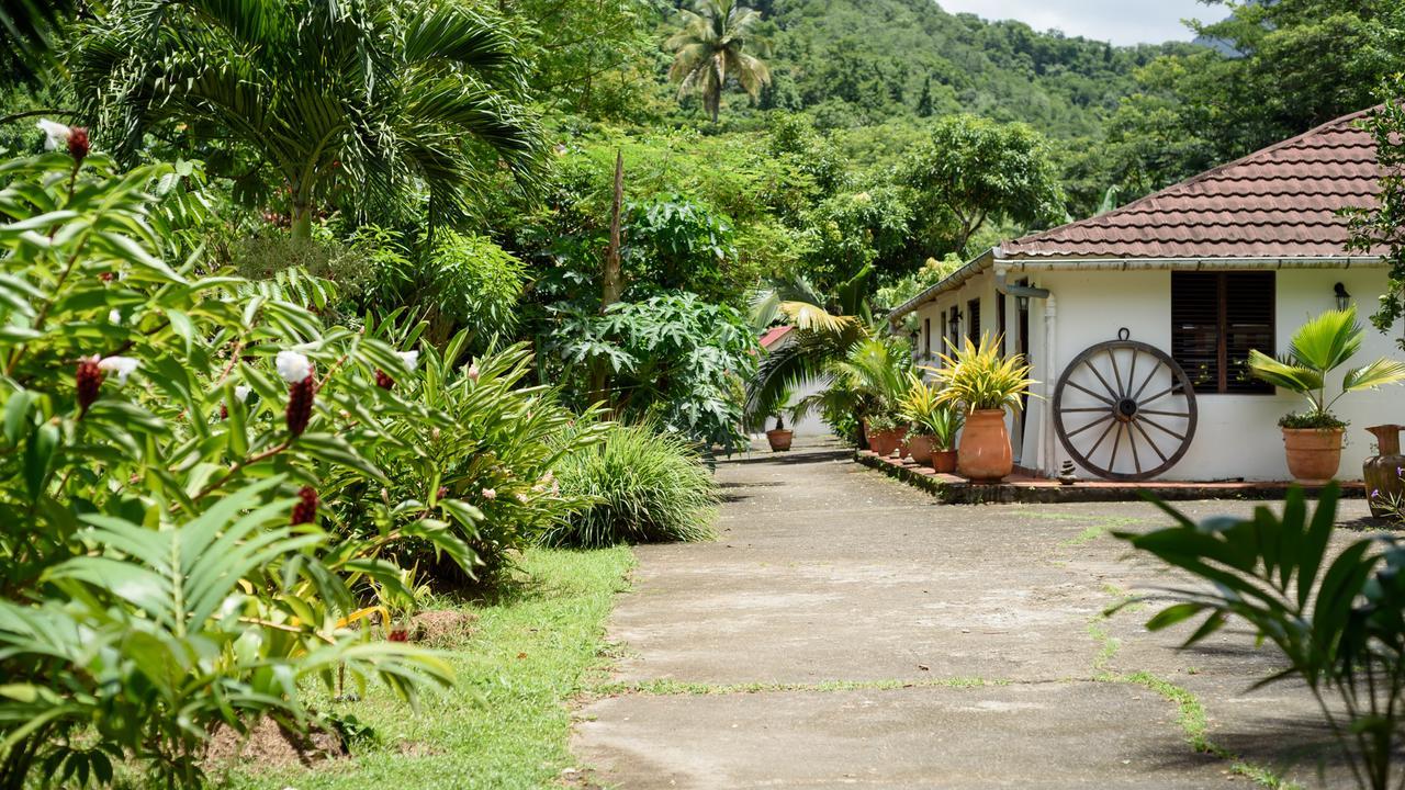 Villa Martinique Treehouse Canton Suisse Exterior foto