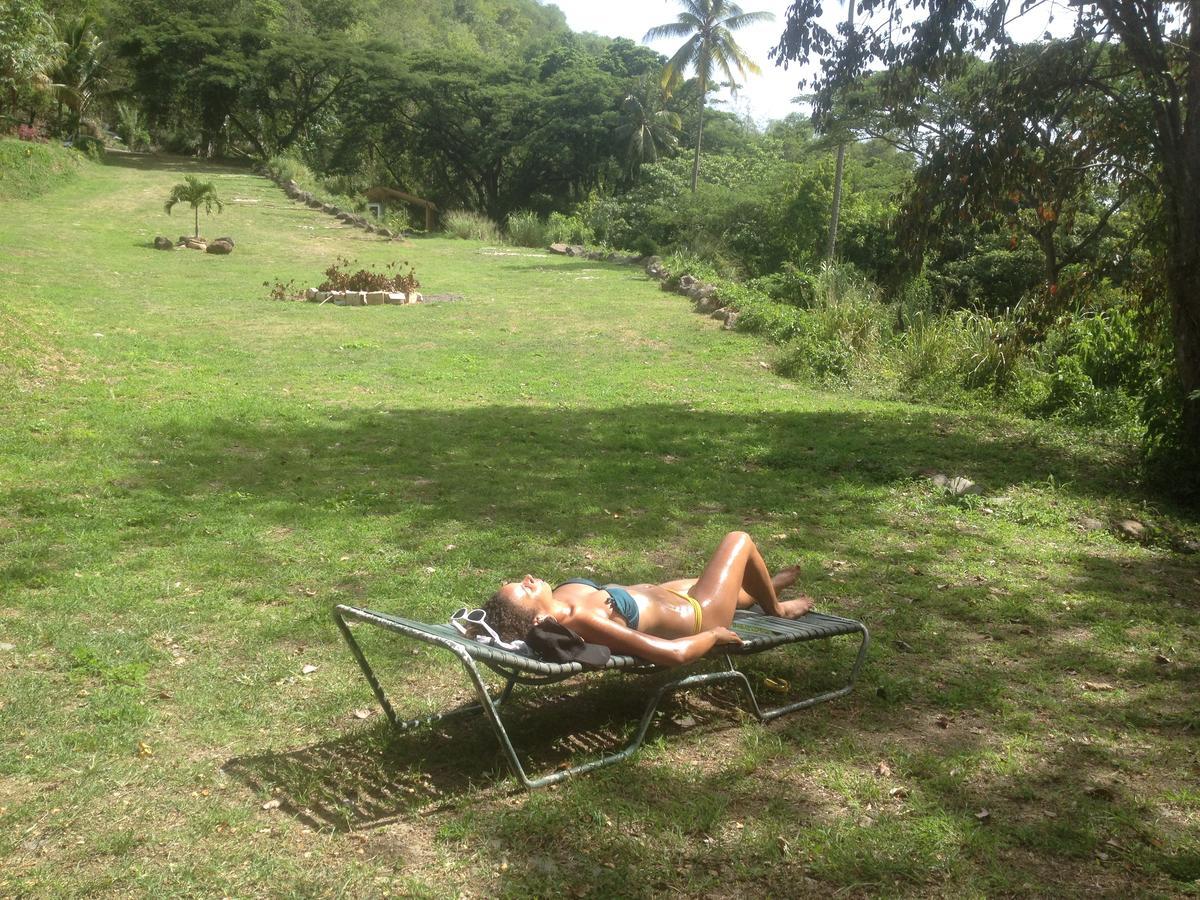 Villa Martinique Treehouse Canton Suisse Exterior foto