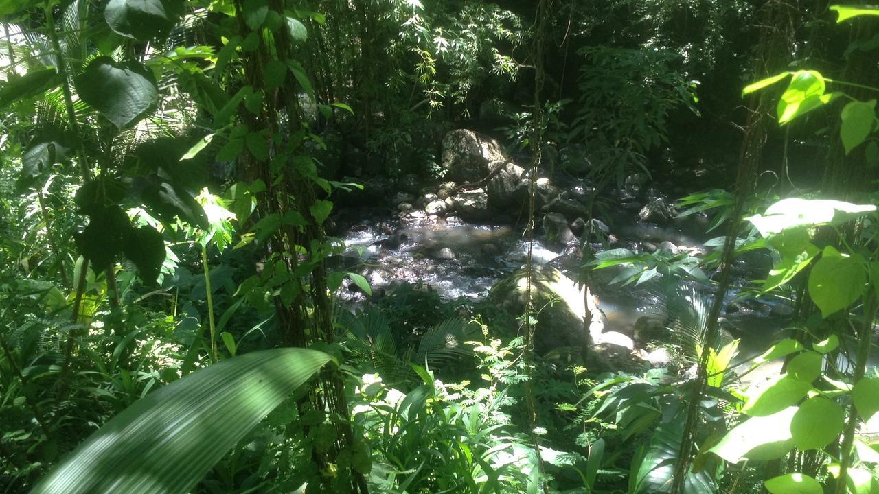 Villa Martinique Treehouse Canton Suisse Exterior foto