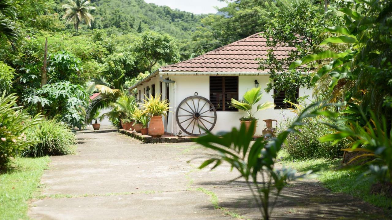 Villa Martinique Treehouse Canton Suisse Exterior foto